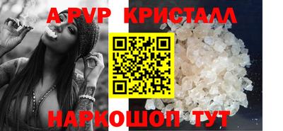 сатива Кингисепп