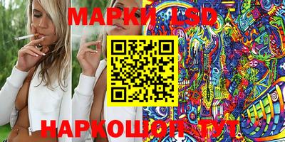 сатива Кингисепп