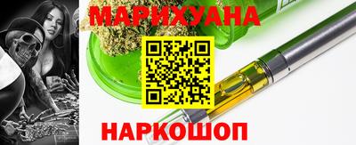 сатива Кингисепп