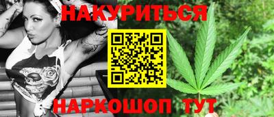 сатива Кингисепп
