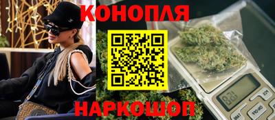 сатива Кингисепп