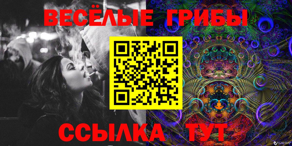 Галлюциногенные грибы Psilocybe Кунгур