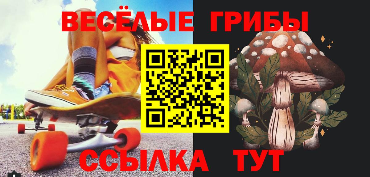 Псилоцибиновые грибы ЛСД  где продают наркотики  Кунгур  Псилоцибиновые грибы Magic Shrooms  Вход с VPN 