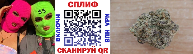 Бошки Шишки сатива  Кунгур 